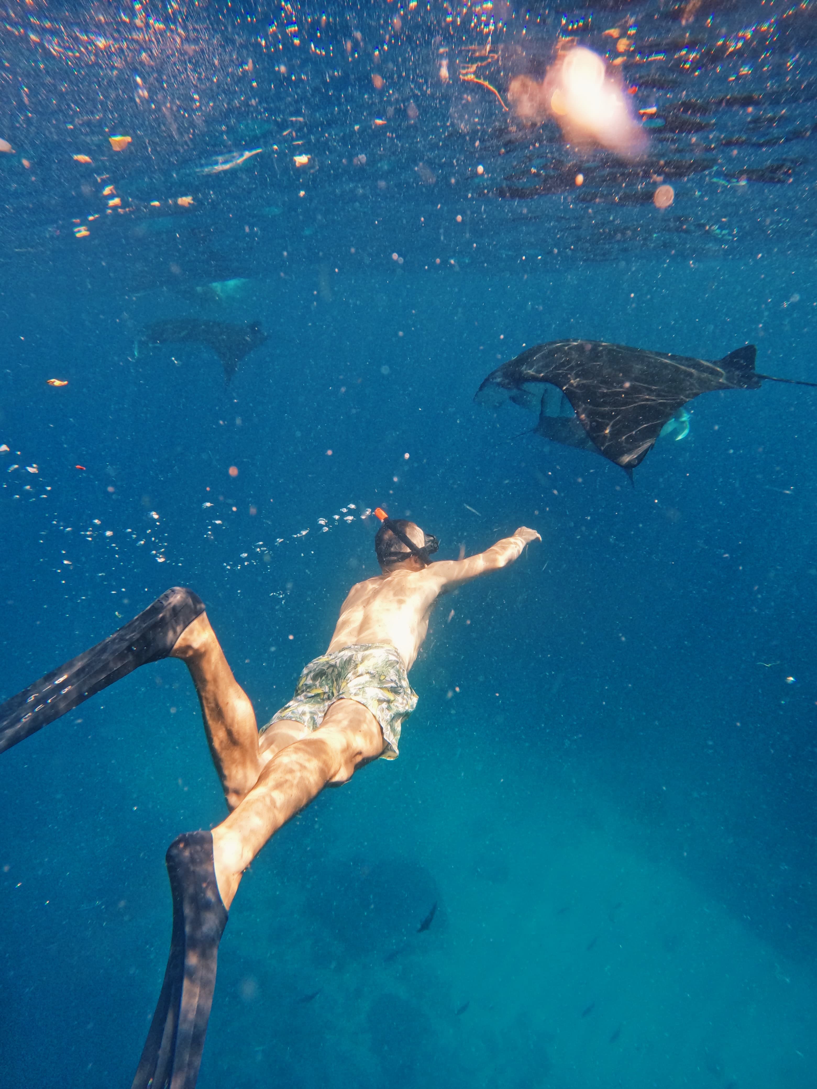 Sharing Snorkeling Lembongan