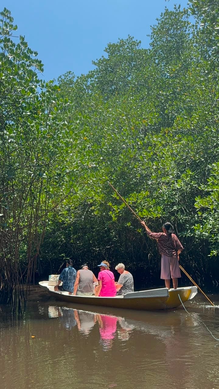 Private Mangrove Tour